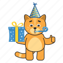 cat, gift, birthday, box