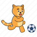 cat, football, play, ball