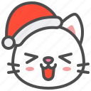 cat, christmas, hat, kitten, laugh, santa, xmas