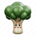 broccoli, vegetable 