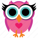 animal, bird, cute owl, fowl, funny owl, owl
