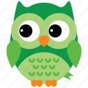 animal, bird, cute owl, fowl, funny owl, owl
