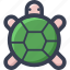 animal, colored, round, turtle, zoo 