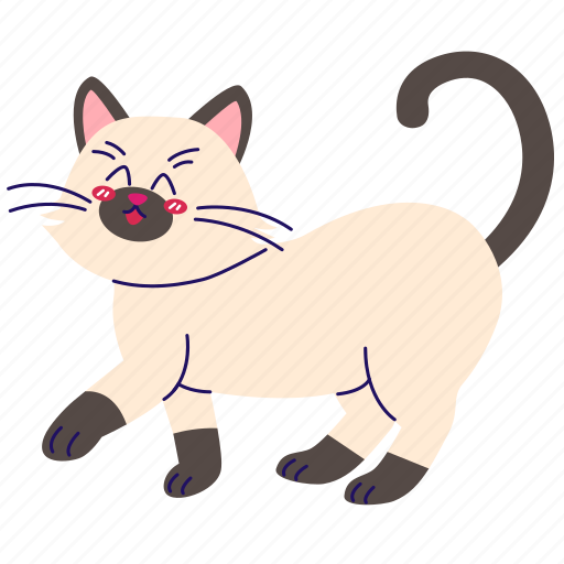 Cat, pet, kitty, persian cat, persian icon - Download on Iconfinder