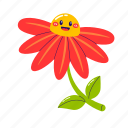 flower, floral, blossom, red flower, happy flower