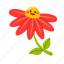 flower, floral, blossom, red flower, happy flower 