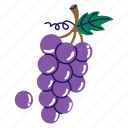 grapes, grapes fruit, grape, fruit, blueberry