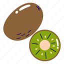 kiwi, kiwi fruit, fruit, food, organic