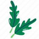 arugula, rocket, vegetable, leaves, arugula plant
