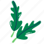 arugula, rocket, vegetable, leaves, arugula plant 