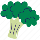 broccoli, broccoli vegetable, vegetable, green broccoli, organic broccoli