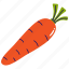 carrot, vegetable, organic, vegetarian, vegan 