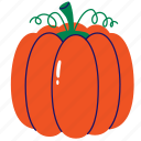 pumpkin, squash, vegetable, pumpkin fruit, pumpkin squash