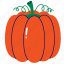 pumpkin, squash, vegetable, pumpkin fruit, pumpkin squash 