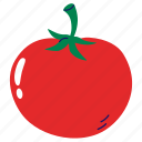 tomato, fresh tomato, tomato fruit, vegetable, fruit