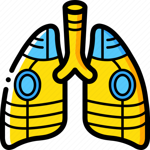 Cybernetic, cybernetics, lungs icon - Download on Iconfinder