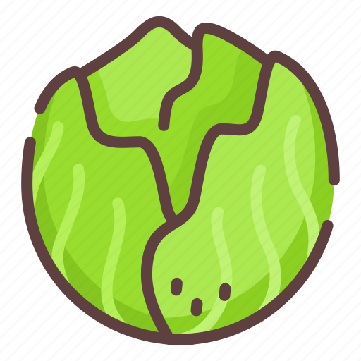 Healthy, vegetable, salad, cabbage icon - Download on Iconfinder