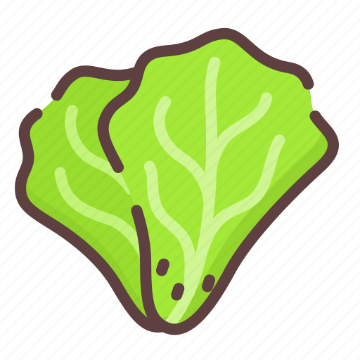 Vegetable, lettuce, salad, food icon - Download on Iconfinder