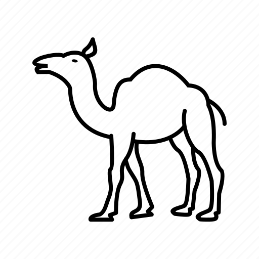 Camel, animal icon - Download on Iconfinder on Iconfinder