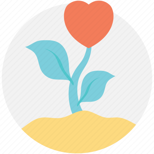 Flower, giving love, growing love, love growth, natural love icon - Download on Iconfinder
