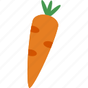 carrot, food, fruit, healthy, vegetable