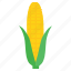 corn, food, fresh, healthy, staple, sweet, vegetable 