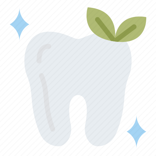 Fresh, teeth, clean, dental, hygienic icon - Download on Iconfinder