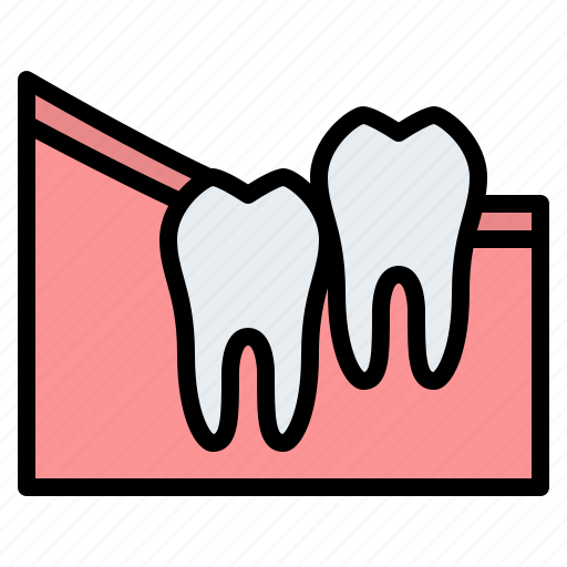 Wisdom, teeth, vertical, dental, gum icon - Download on Iconfinder