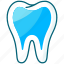 tooth, dental, dentist, teeth, dentistry 