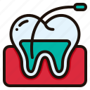 root, canal, dental, endodontics, medical, tooth, treatment