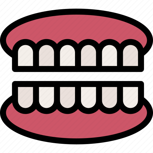 Denture, dentures, mouth, teeth, dental, care icon - Download on Iconfinder