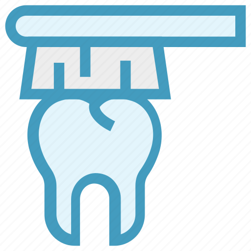 Brush, cleaning, dental, dentist, teeth, tooth icon - Download on Iconfinder