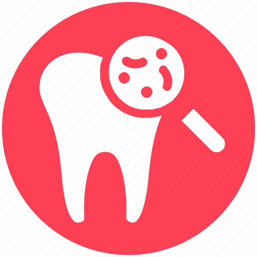 Checkup, dental, dentist, dirt, magnifier, microbe icon - Download on Iconfinder