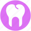 crack, dental teeth, dentist, stomatology, tooth 