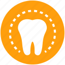 circle, dental, dentist, health, molar, tooth