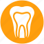 dental, dental treatment, dentist, oral health, stomatology, tooth 