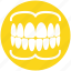care, dental, dentistry, gums, oral, teeth 