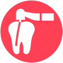 dental, dental treatment, dentist, dentistry, teeth, tooth