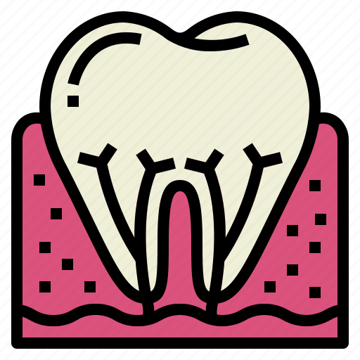 Dental, medical, root, tooth icon - Download on Iconfinder