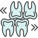 body, dental, dentistry, human, mouth, tooth