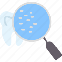 bacteria, germ, glass, magnifier, magnifying, search, searching