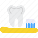 body, dental, dentist, dentistry, health, human, tooth, 2