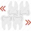body, dental, dentistry, human, mouth, tooth