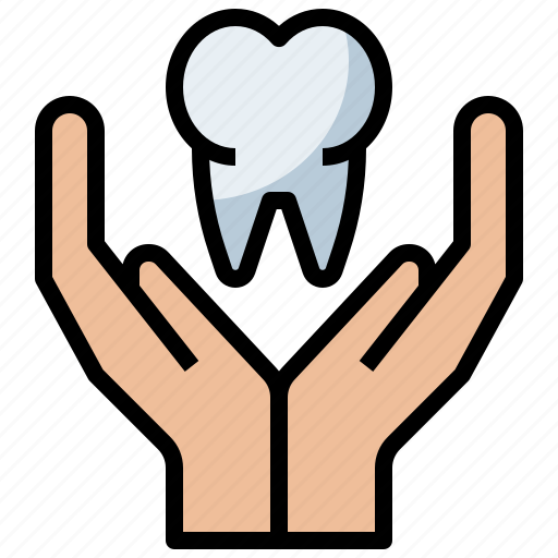 Care, clear, dental, dentist, healthcare, medical, molar icon - Download on Iconfinder