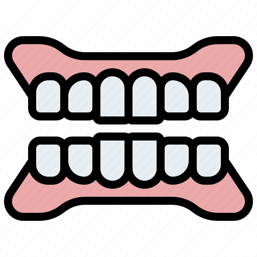 Clear, dental, dentist, denture, healthcare, medical, molar icon - Download on Iconfinder