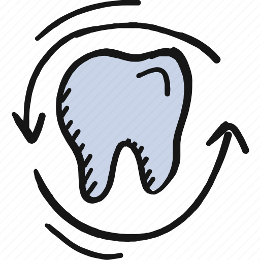 Healthy teeth, human tooth, molar, molar teeth, tooth icon icon - Download on Iconfinder
