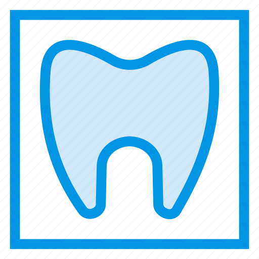 Dental, dentist, dentistry, healthcare, human, medical, teeth icon - Download on Iconfinder