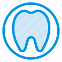 dental, dentist, dentistry, filling, health, teeth, tooth