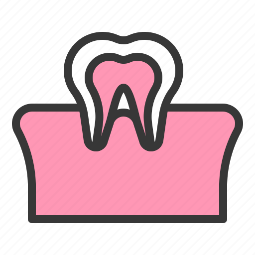Dental, dentistry, gum, hygiene, tooth, tooth and gum, teeth icon - Download on Iconfinder