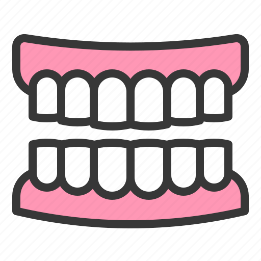 Dental, dentistry, denture, gums, medical, teeth, tooth icon - Download on Iconfinder